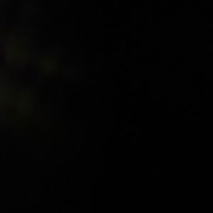 Meet your Posher, Hillary